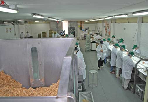 Cosecha y secado